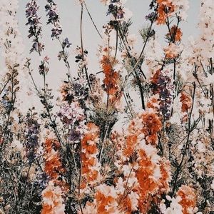 Meet your Posher, Destiny